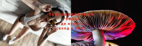 mix Арсеньев