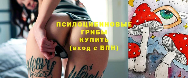 эйфоретик Алзамай