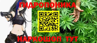 стаф Краснознаменск