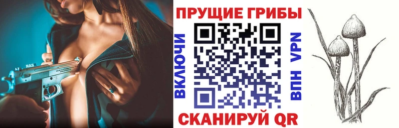 Псилоцибиновые грибы мухоморы Каспийск