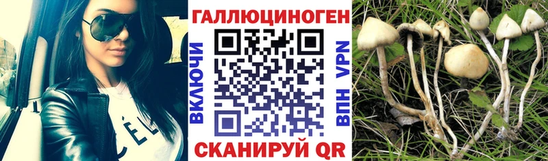 где можно купить наркотик  Каспийск  Псилоцибиновые грибы прущие грибы 