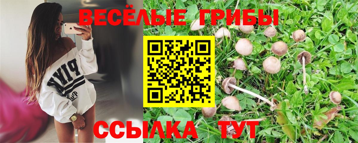 Псилоцибиновые грибы Psilocybine cubensis  Вход с VPN  Псилоцибиновые грибы мицелий  наркота  Каспийск 